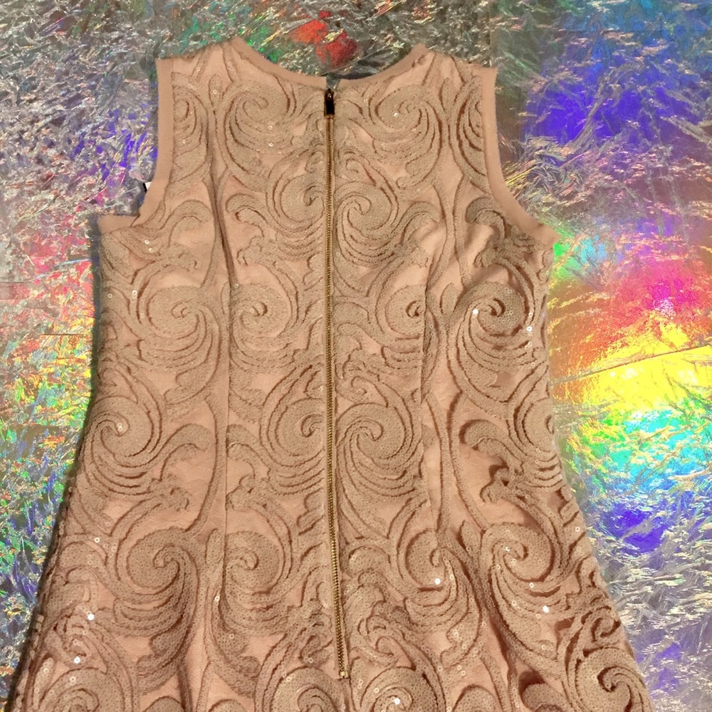 Vince Camuto Blush Lace Dress - Picture 3 of 13